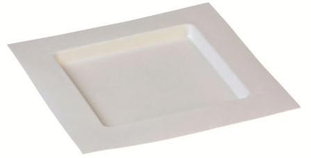 Zuckerrohr Teller Dedra quadratisch 22,4 x 22,4 cm