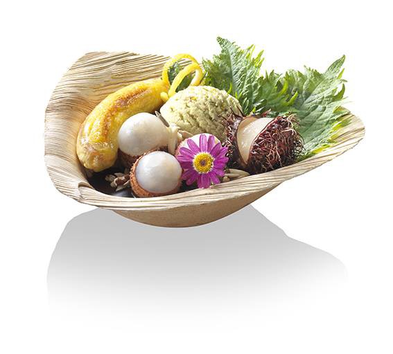 Palmblatt Trigon Bowle 300ml 18 x 17 x 5,5 cm